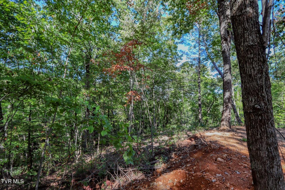 Photo #18: 133 Huffman Way 