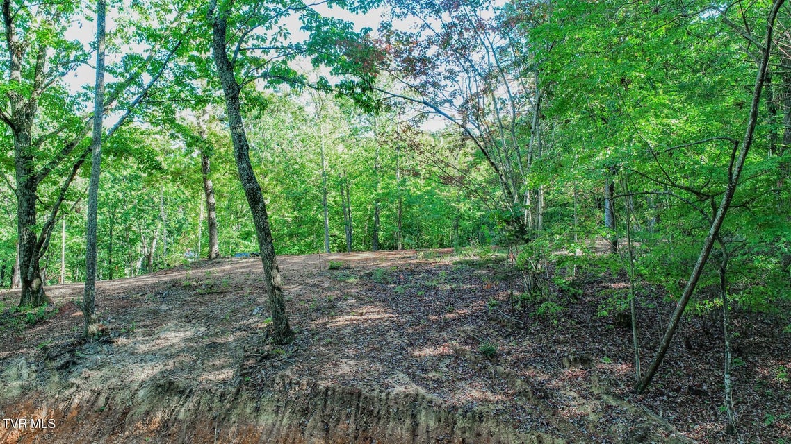 Photo #19: 133 Huffman Way 