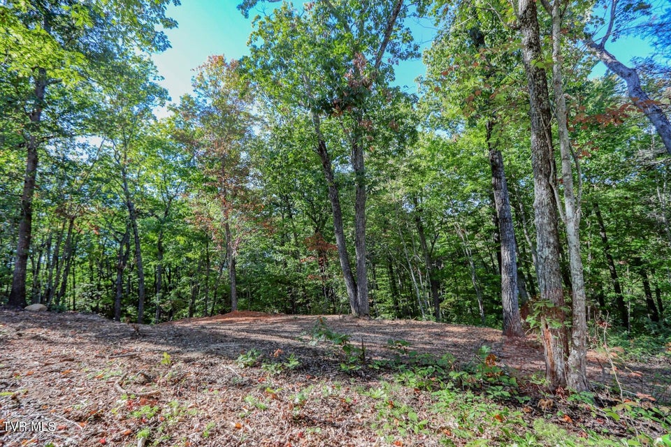 Photo #20: 133 Huffman Way 