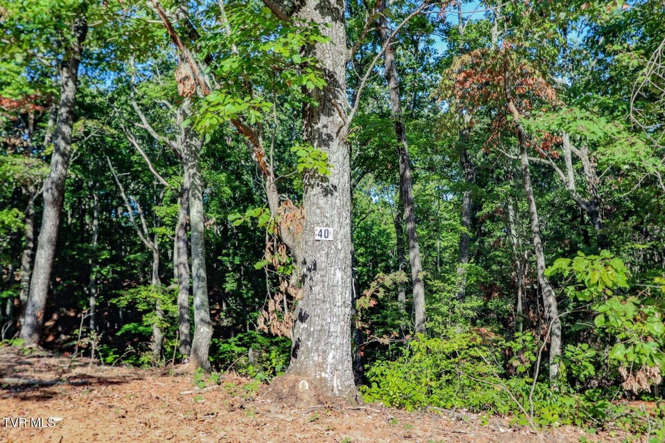 Photo #21: 133 Huffman Way 