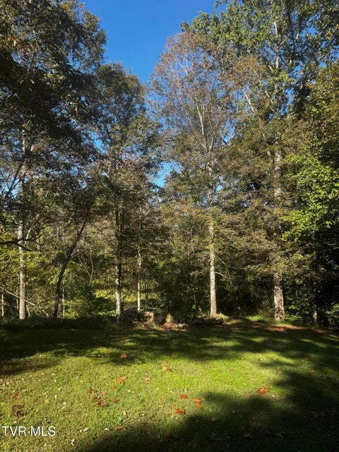 Photo #38: 1411 Erwin Highway