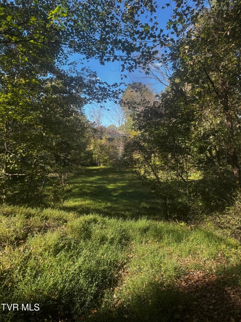 Photo #39: 1411 Erwin Highway