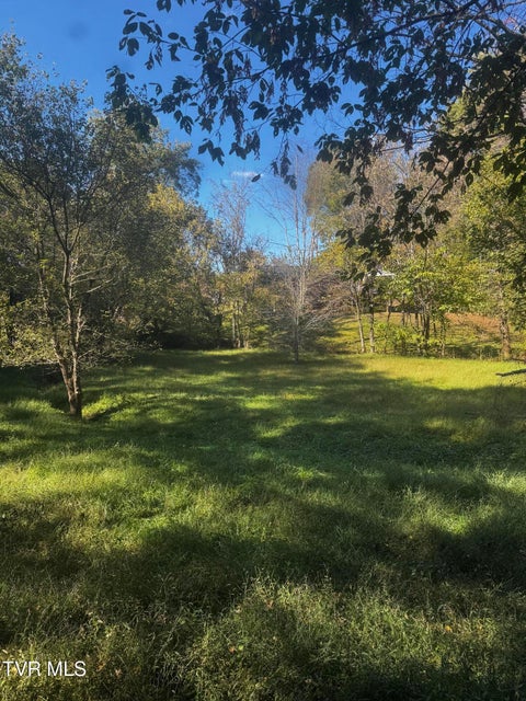 Photo #40: 1411 Erwin Highway