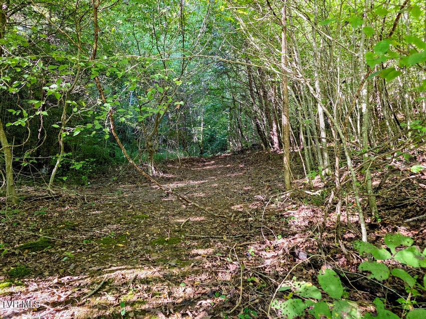 Photo #18: 2534 Muddy Hollow 