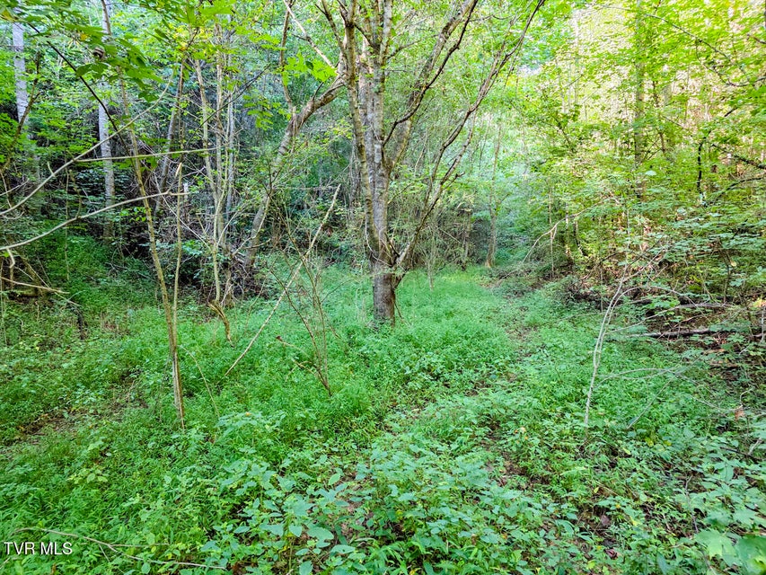 Photo #19: 2534 Muddy Hollow 