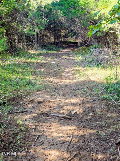 Photo #20: 2534 Muddy Hollow 