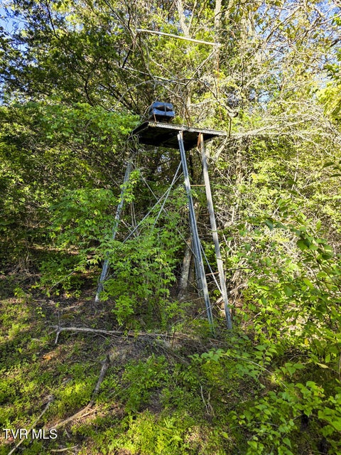 Photo #21: 2534 Muddy Hollow 