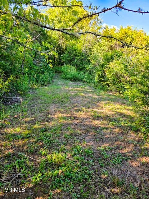 Photo #22: 2534 Muddy Hollow 