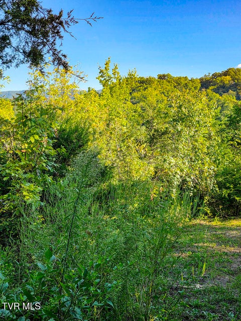 Photo #24: 2534 Muddy Hollow 