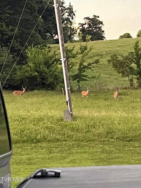 Photo #40: 269 Oklahoma Road