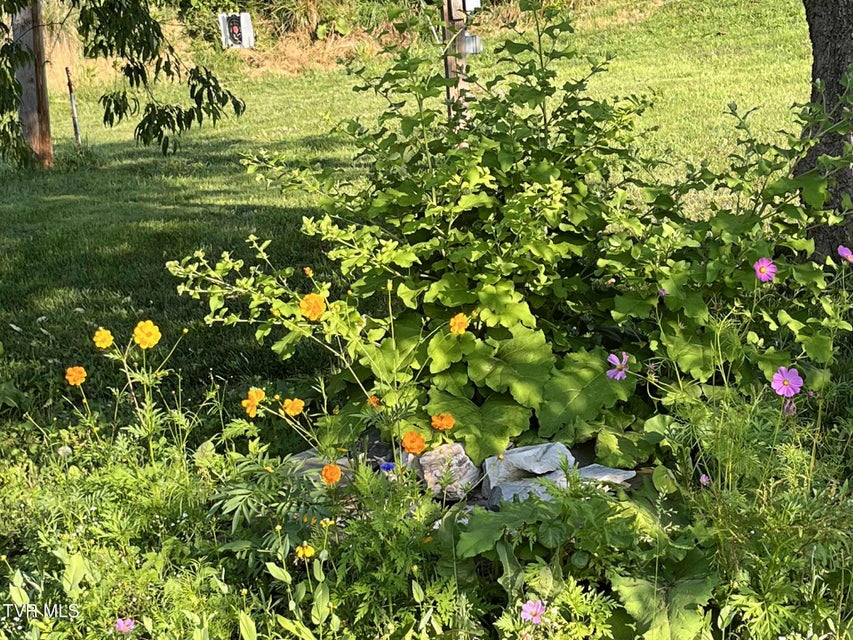 Photo #41: 269 Oklahoma Road