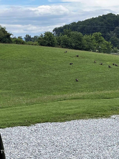 Photo #46: 269 Oklahoma Road