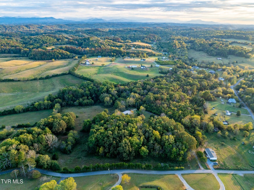 Photo #7: 645 Elmwood Road