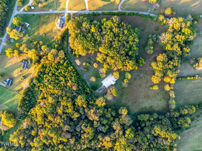 Photo #9: 645 Elmwood Road