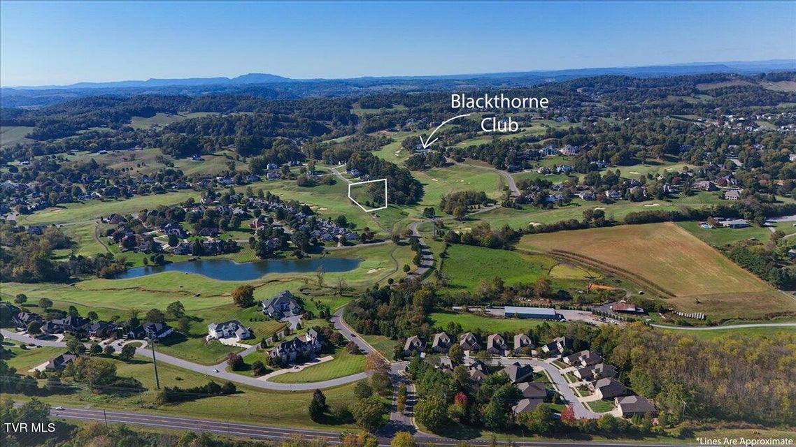 Photo #8: 1128 Hawk Nest Court