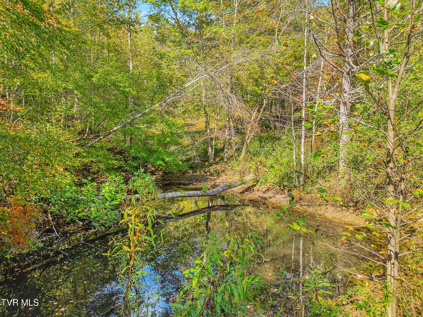 Photo #39: 4379 Pine Orchard Road