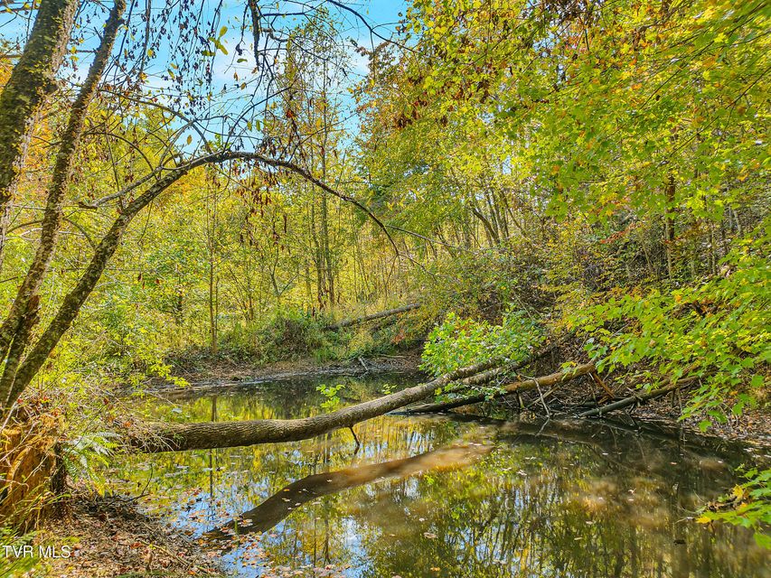 Photo #40: 4379 Pine Orchard Road