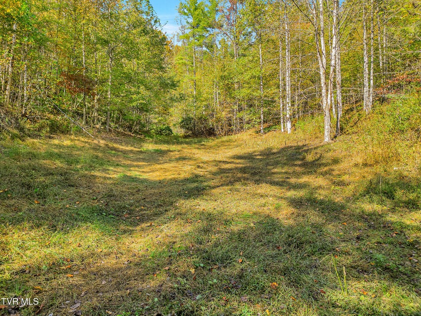 Photo #41: 4379 Pine Orchard Road