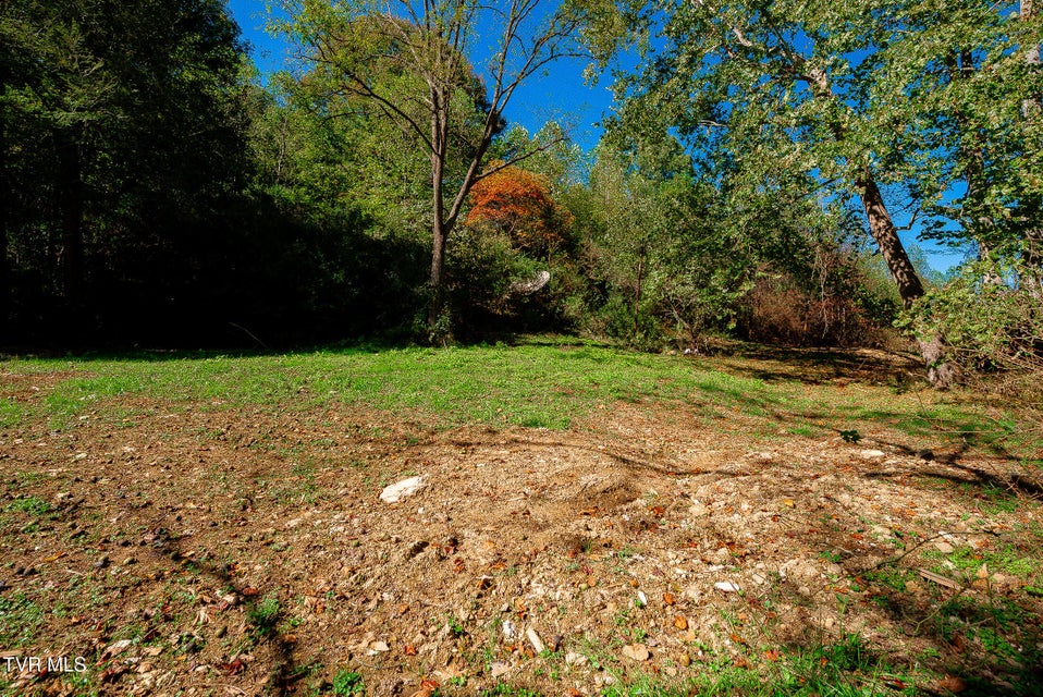 Photo #12: 0 Ponderosa Road