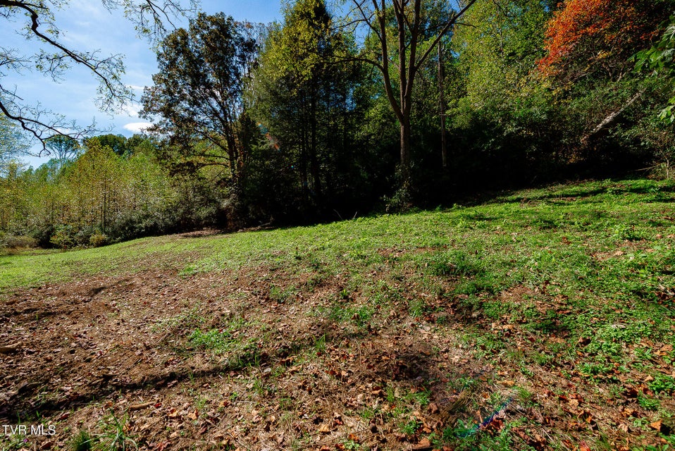 Photo #11: 0 Ponderosa Road