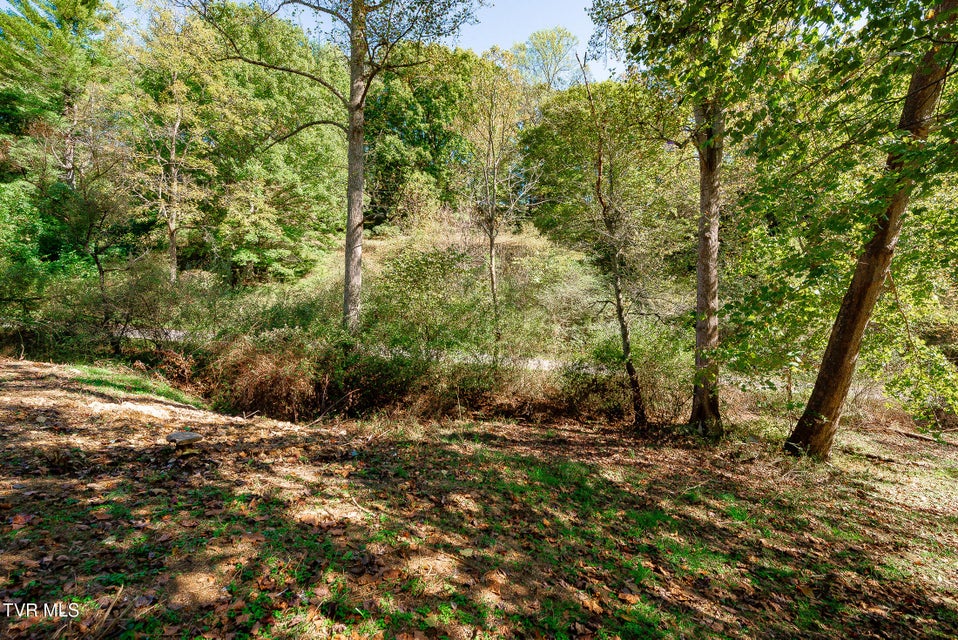 Photo #4: 0 Ponderosa Road