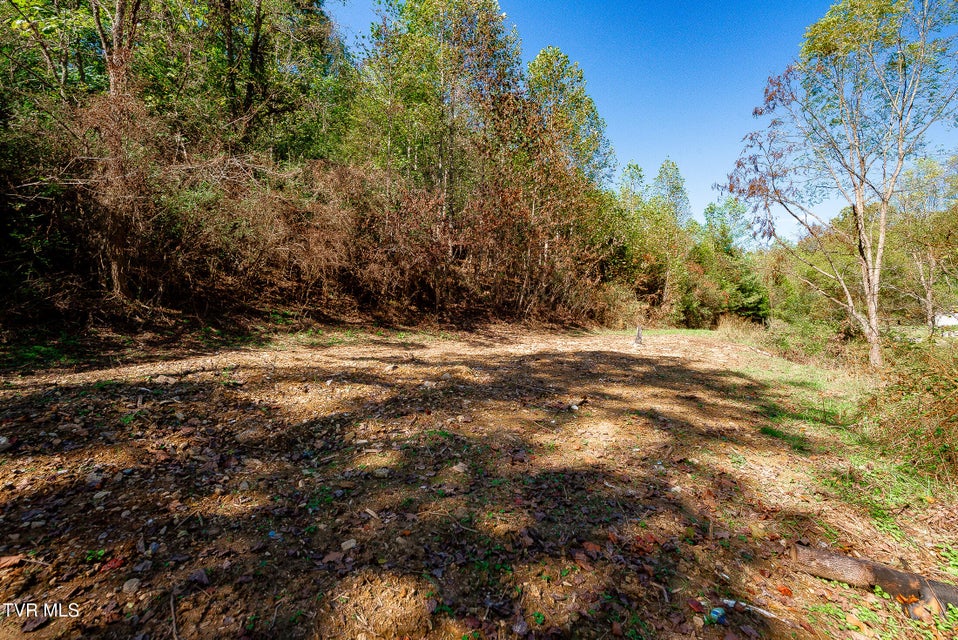 Photo #9: 0 Ponderosa Road