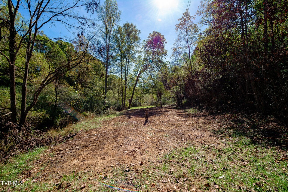 Photo #3: 0 Ponderosa Road