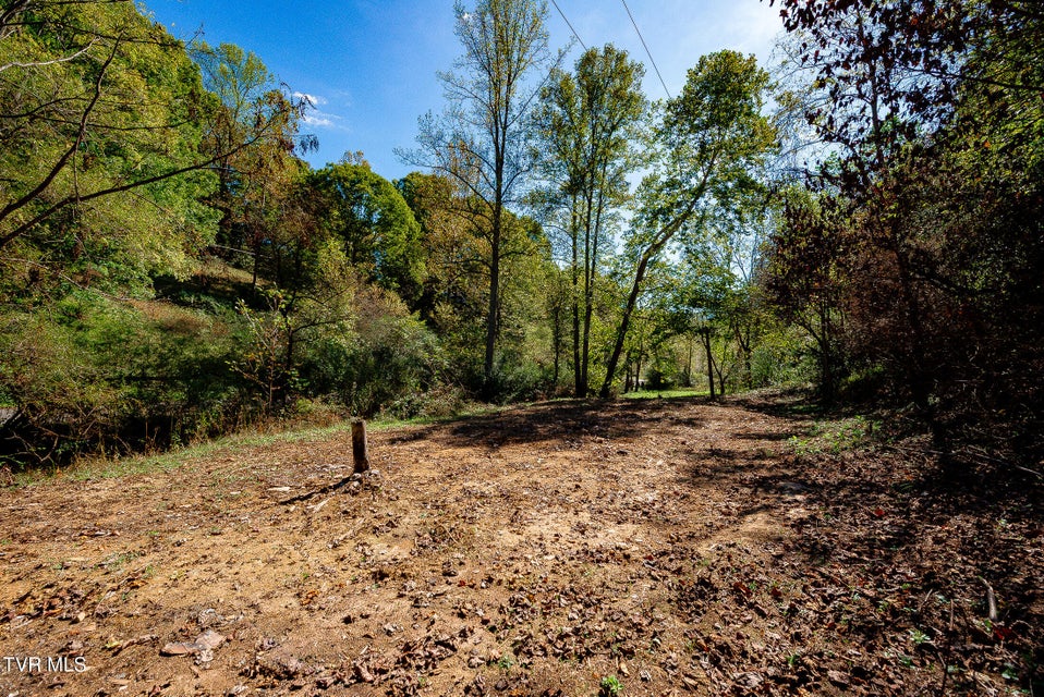 Photo #7: 0 Ponderosa Road