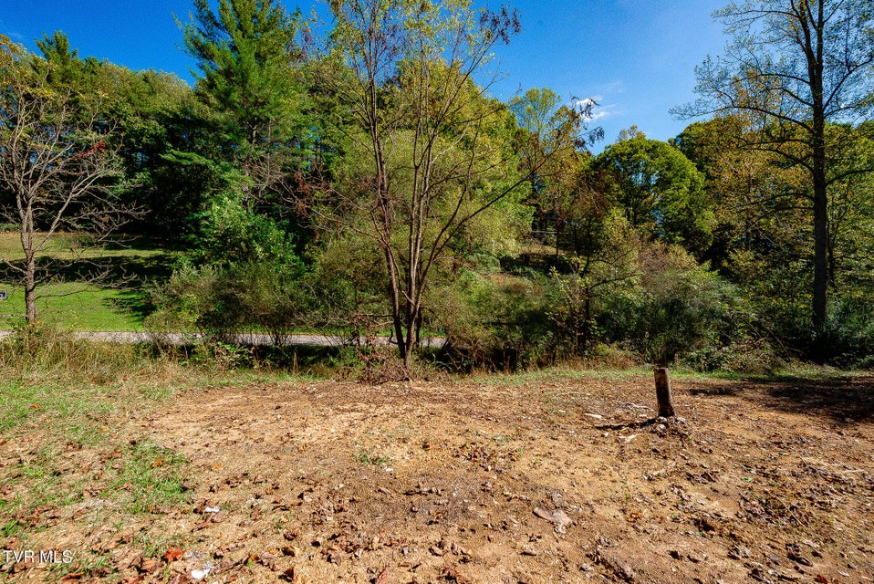 Photo #13: 0 Ponderosa Road