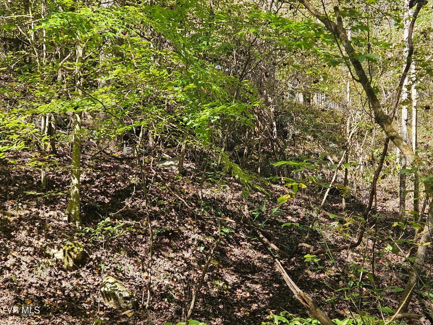 Photo #12: 14322 Smith Creek Road