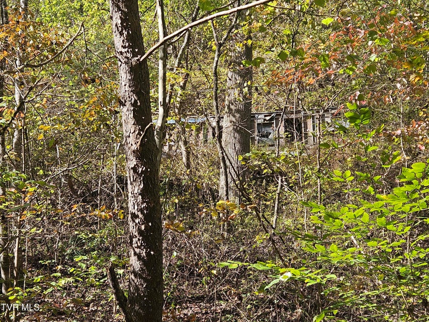 Photo #13: 14322 Smith Creek Road