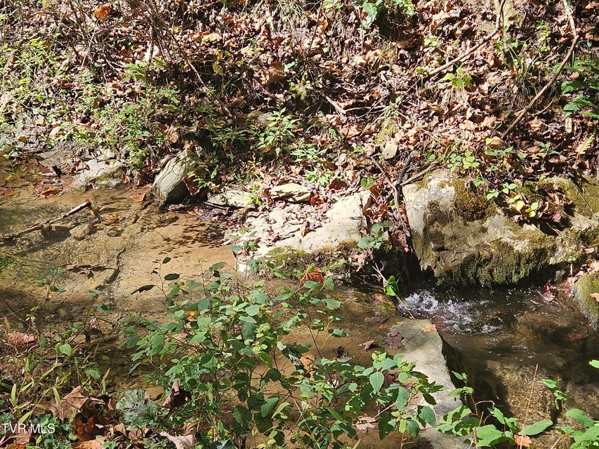 Photo #14: 14322 Smith Creek Road