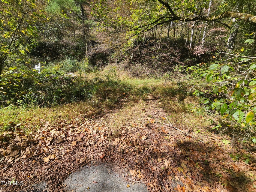 Photo #15: 14322 Smith Creek Road
