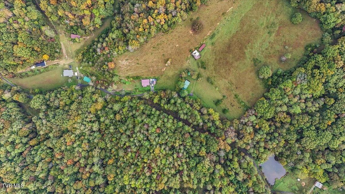 Photo #47: 177 Helton Hollow Rd Road