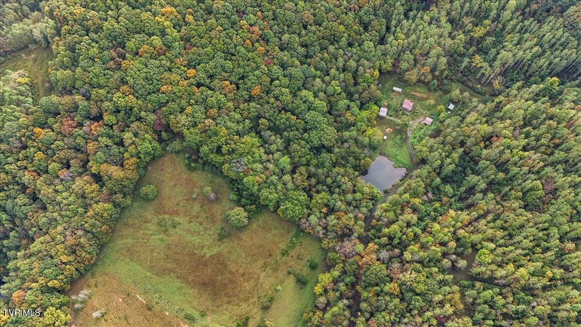 Photo #48: 177 Helton Hollow Rd Road
