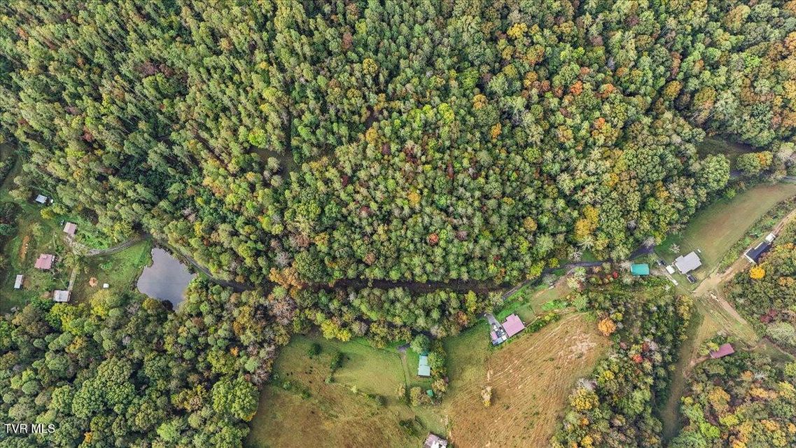 Photo #49: 177 Helton Hollow Rd Road