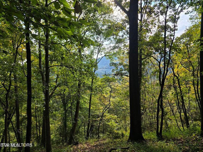 Photo #7: Tbd E Pumpkin Valley Road