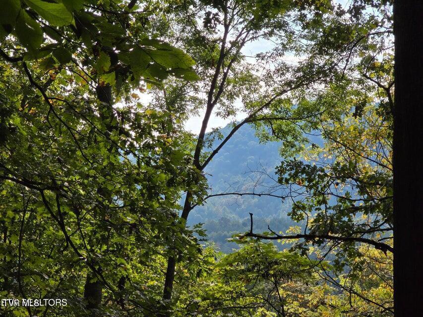 Photo #8: Tbd E Pumpkin Valley Road