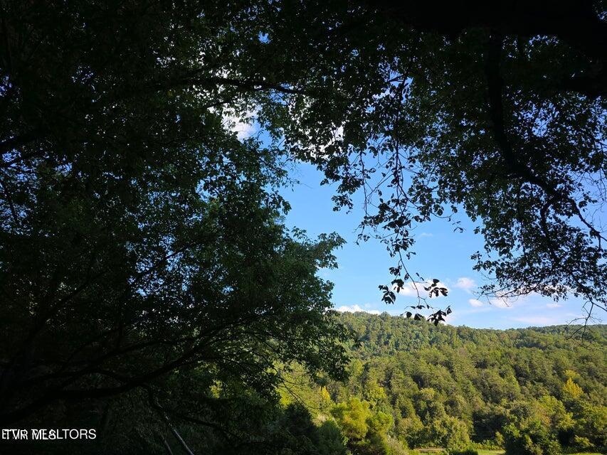 Photo #9: Tbd E Pumpkin Valley Road