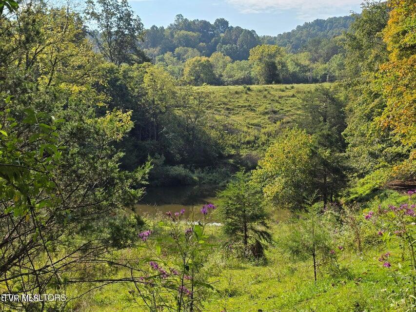 Photo #5: Tbd E Pumpkin Valley Road