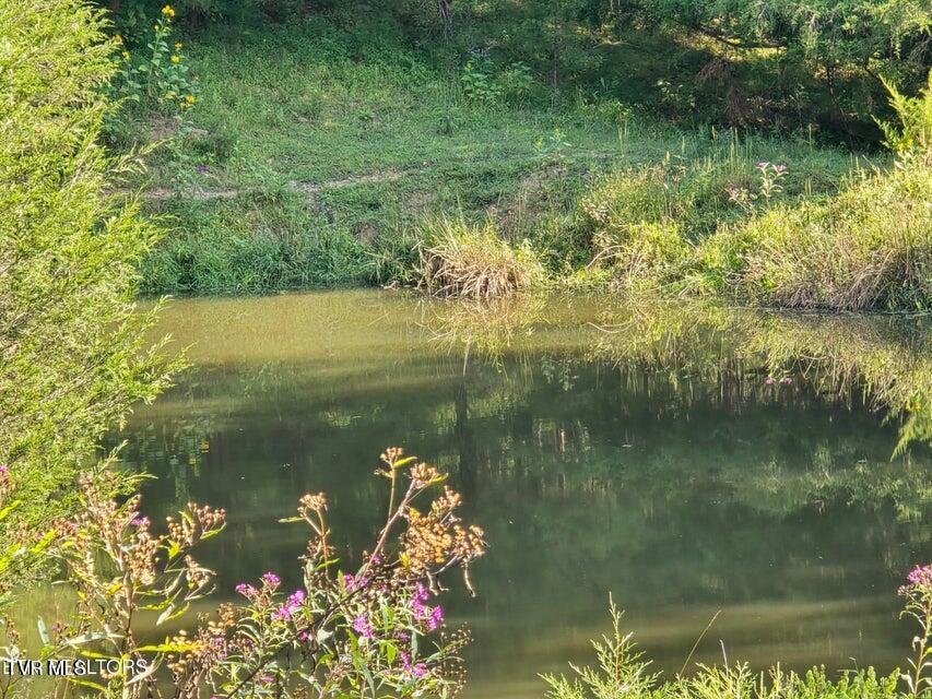 Photo #12: Tbd E Pumpkin Valley Road