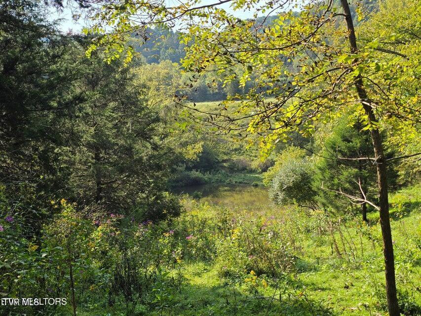 Photo #13: Tbd E Pumpkin Valley Road