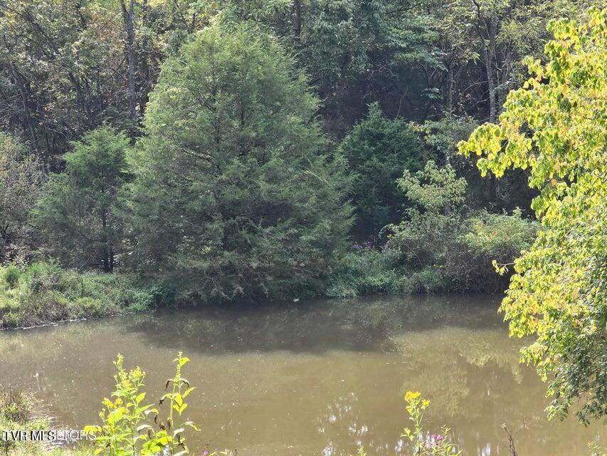 Photo #14: Tbd E Pumpkin Valley Road