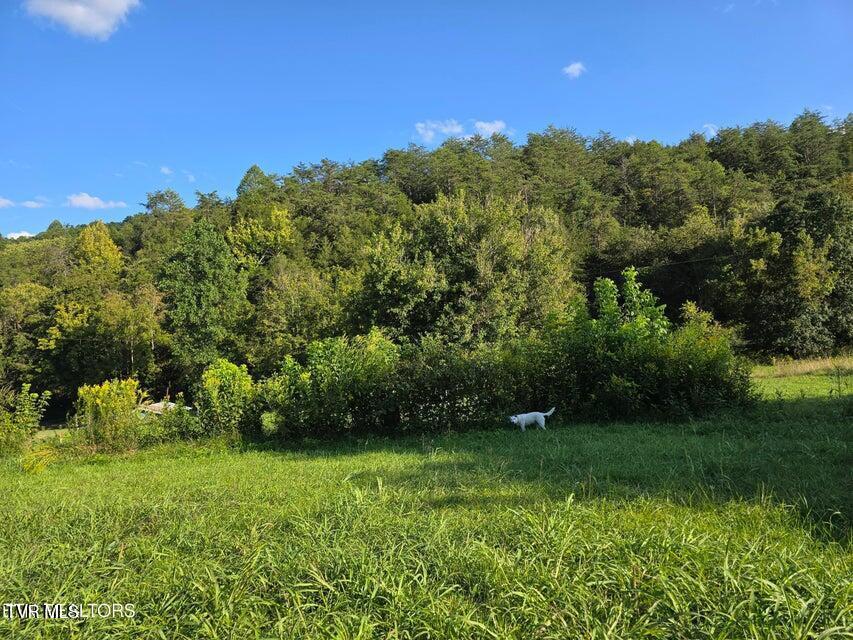 Photo #15: Tbd E Pumpkin Valley Road