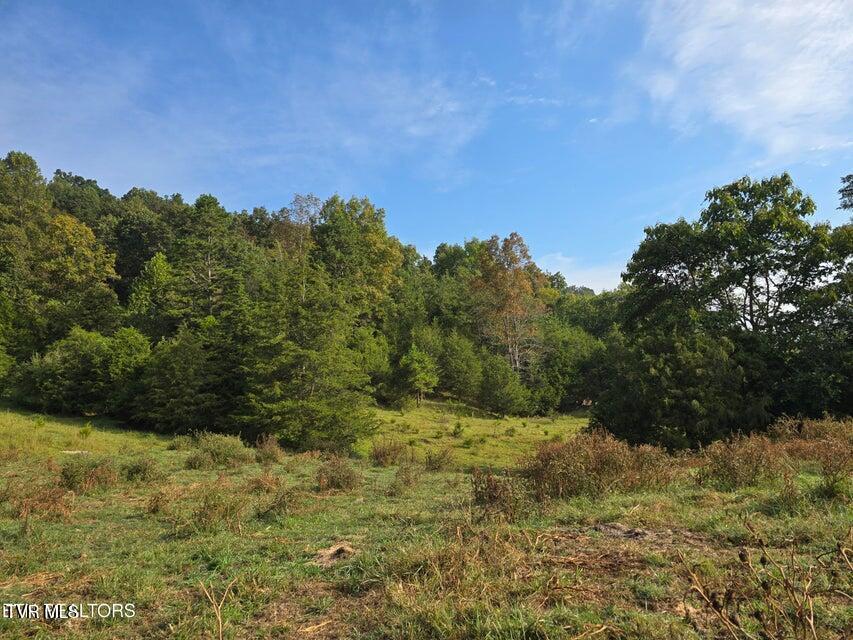 Photo #16: Tbd E Pumpkin Valley Road