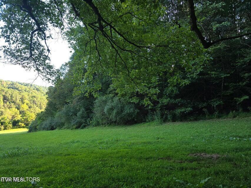 Photo #17: Tbd E Pumpkin Valley Road