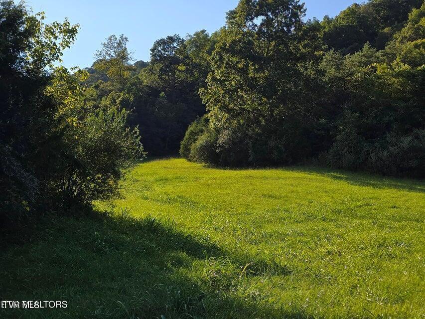 Photo #18: Tbd E Pumpkin Valley Road