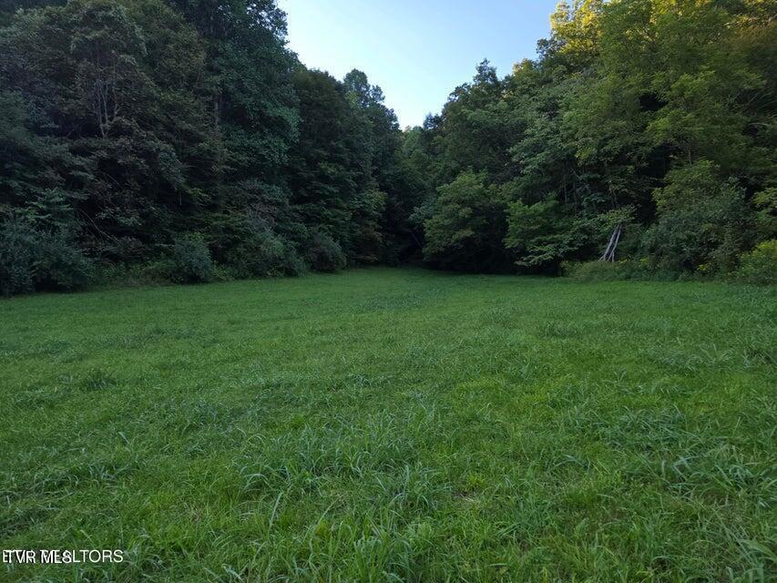 Photo #19: Tbd E Pumpkin Valley Road