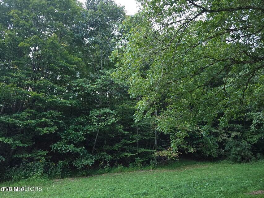 Photo #20: Tbd E Pumpkin Valley Road