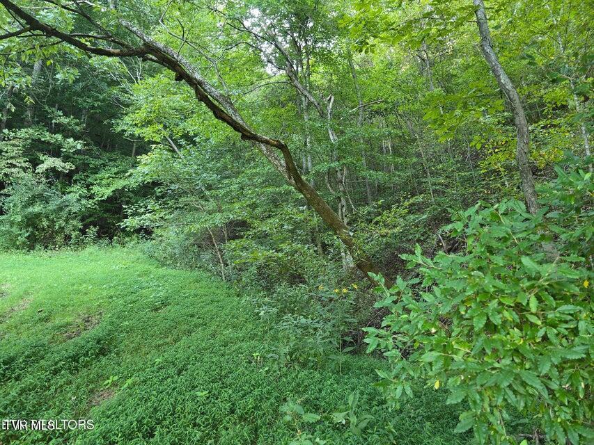 Photo #22: Tbd E Pumpkin Valley Road